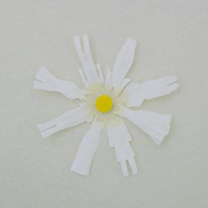 美女穿白丝给我操的免费视频
