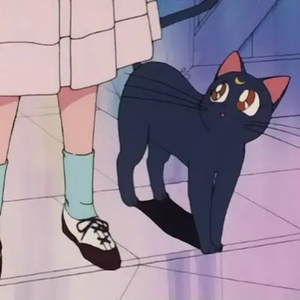 美女穿白丝给我操的免费视频
