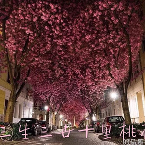 美女穿白丝给我操的免费视频
