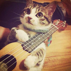 美女穿白丝给我操的免费视频
